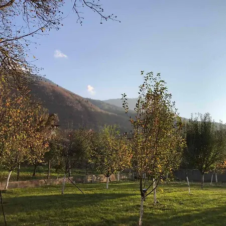 Вила Орехите Maison d'hôtes Doupnitsa